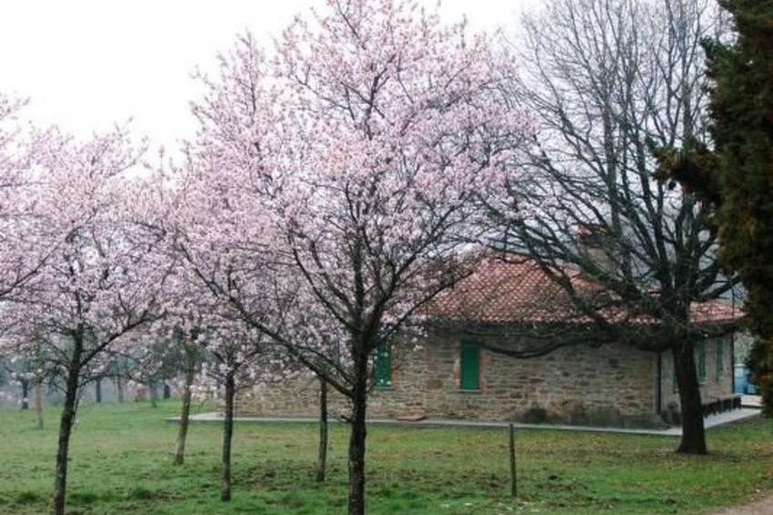 Le Corniole mit Pool, Jacuzzi und Grill - foto 7