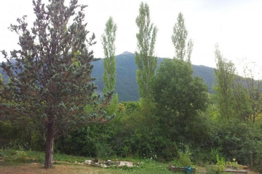 mit Gemeinschaftspool im Diois - foto 7