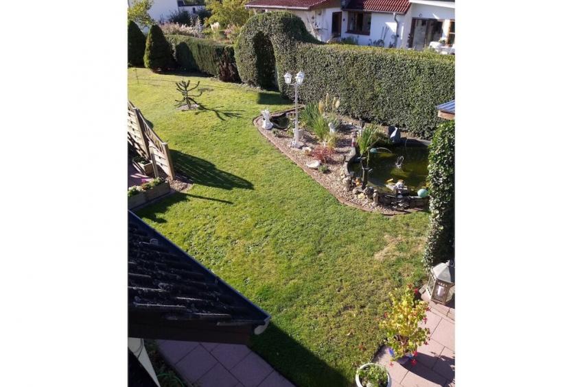 299995 - foto 4