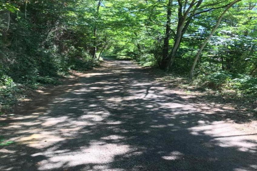 APPARTEMENT LES BROUSSES/LINDE - foto 40