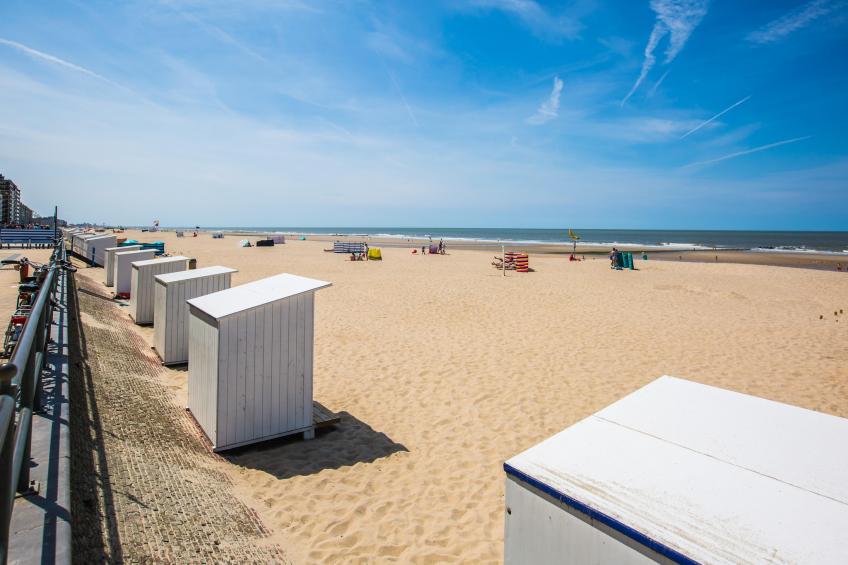 Rubens 0602 - foto 18