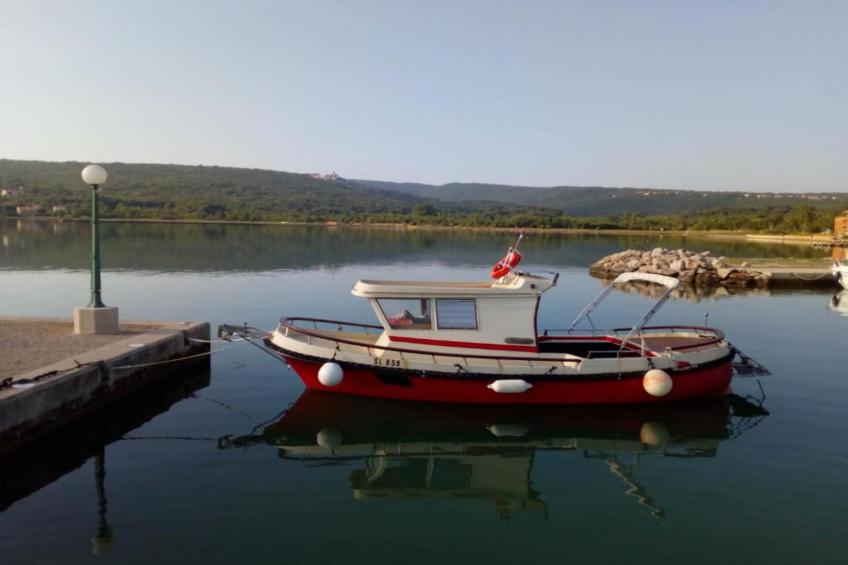 Rustic Villa Rudine - foto 16