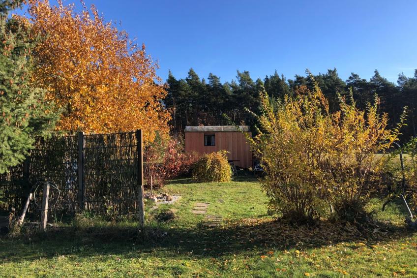 Spitzwegerich - foto 22