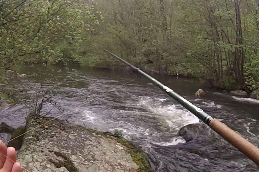 Idealer Erholungsort - foto 19