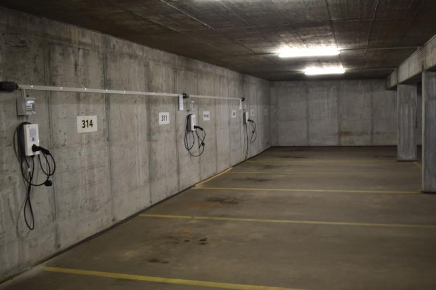 Edelweiss Pany, (Pany), edelweiss_pany - foto 13