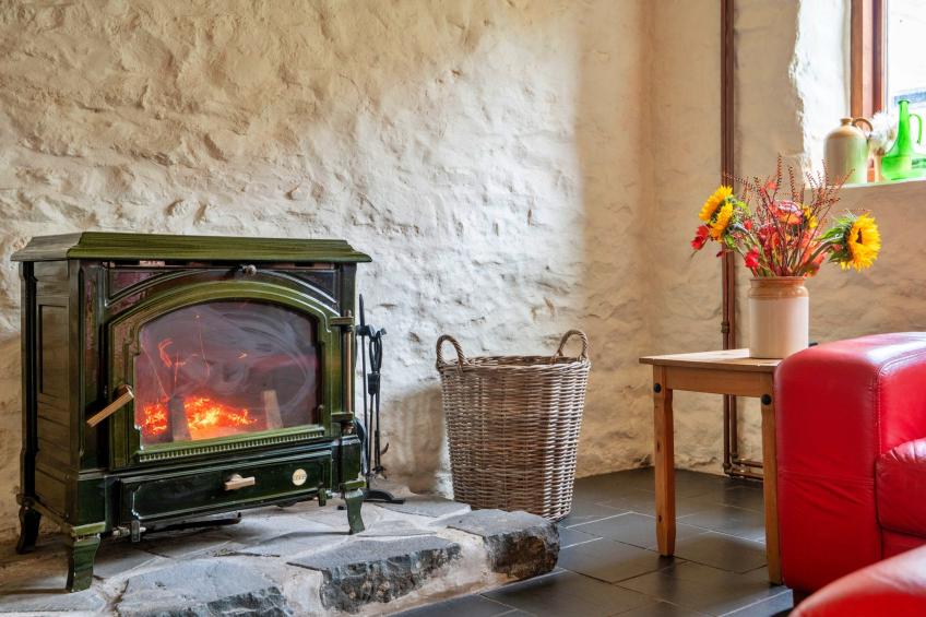 Pandy Farmhouse - foto 8