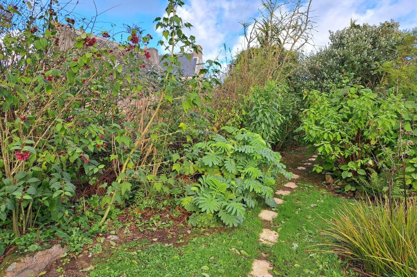 Granitsteinhaus in Guimaëc - foto 19