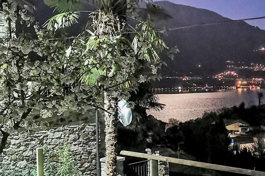 Green House - foto 20