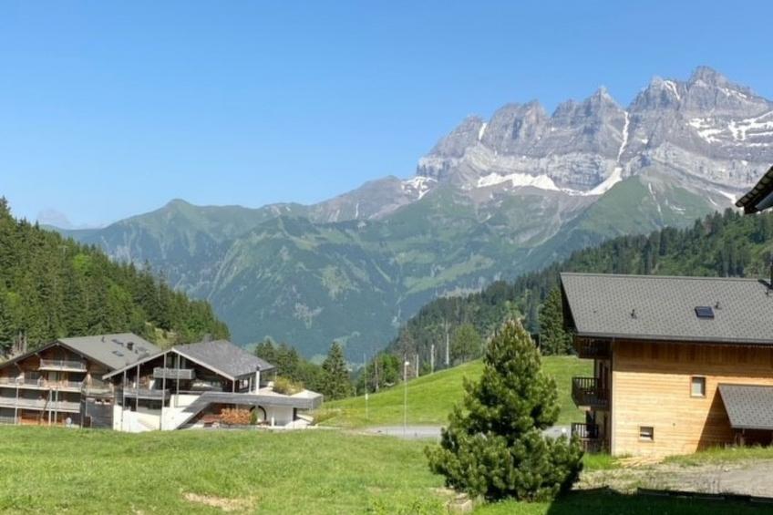 Résid. D Appartement 1, (Les Crosets), - foto 11