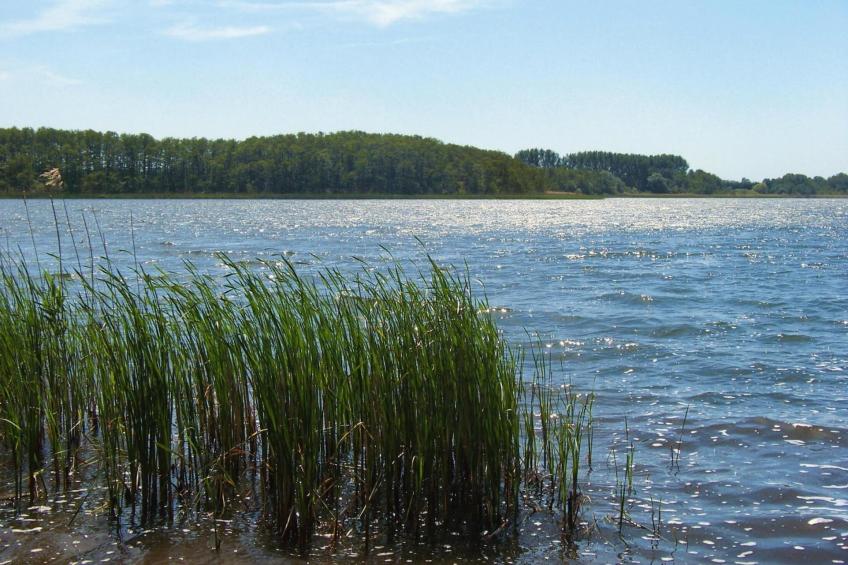 Doppelhaushälfte, Plau am See - foto 9