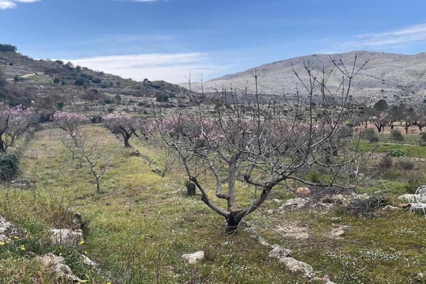 Finca Caballo Verde - foto 26