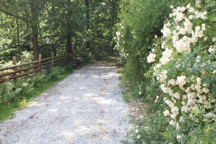 mit Balkon, Terrasse und Garten - foto 9