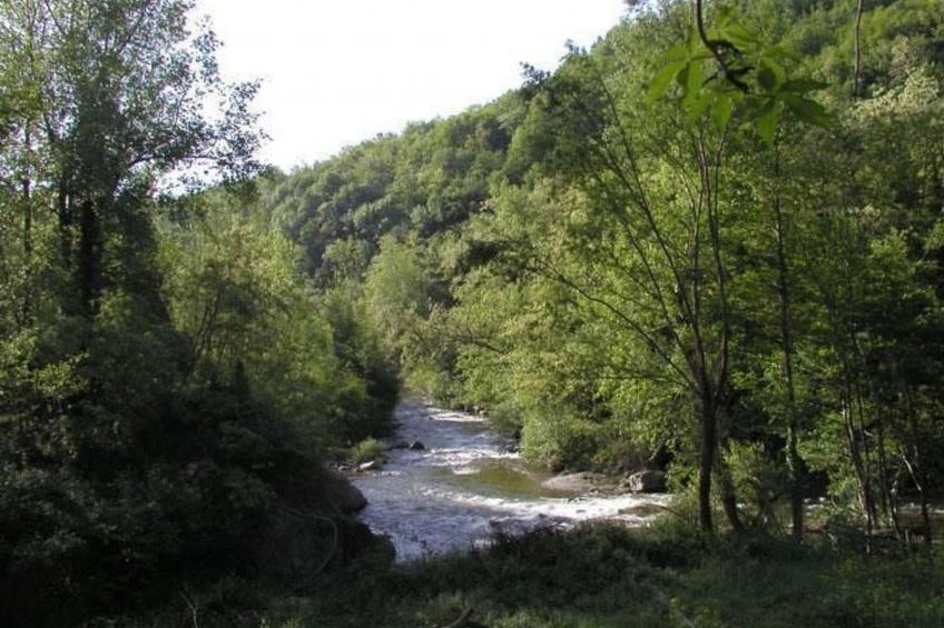 Wohnung "La Bergerie" für fünf Personen - foto 5