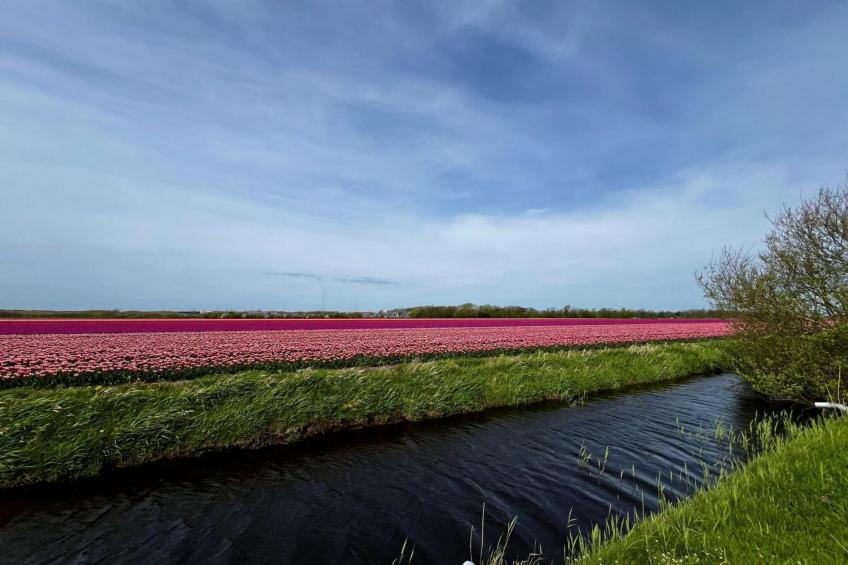 De Schelp 27 - foto 18