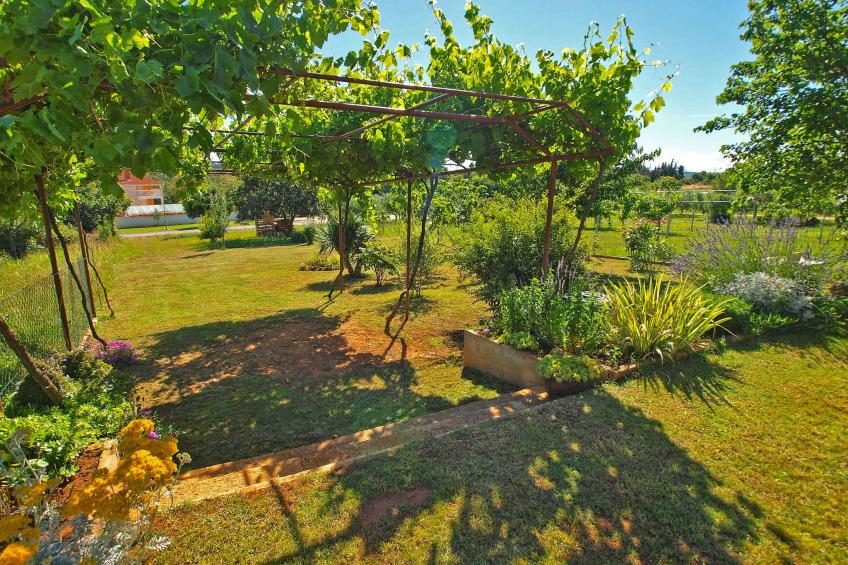 Ferienwohnung mit Terrasse - BF-6ZGB3 - foto 8
