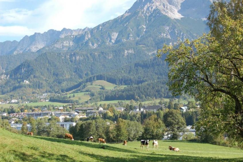 Altes Forsthaus - foto 30