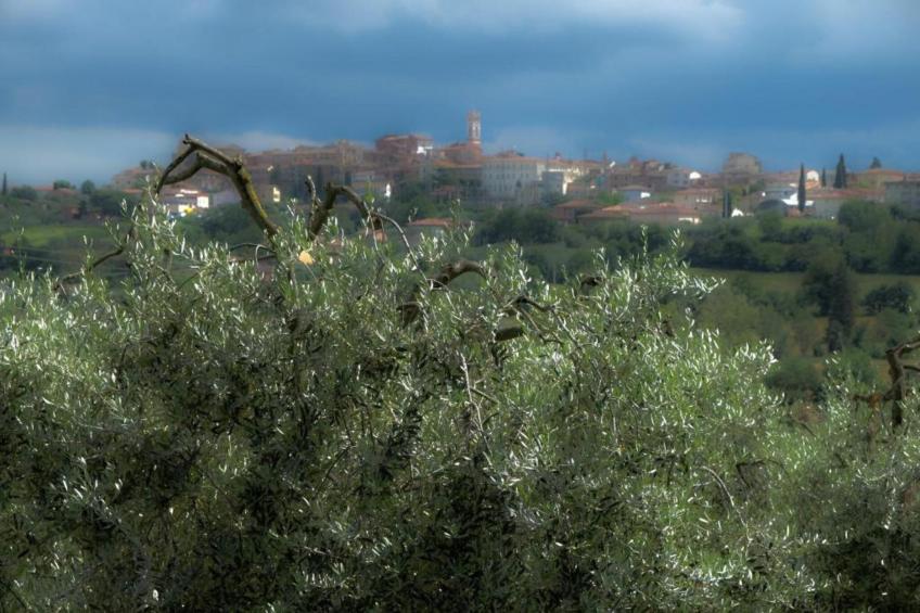 Castagno del Riccio - foto 31