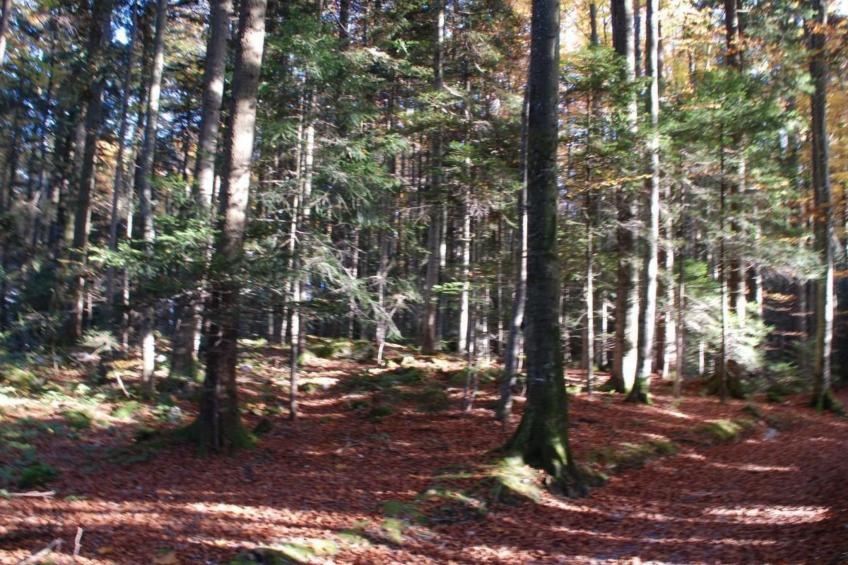 Dein Erlebnis - foto 4