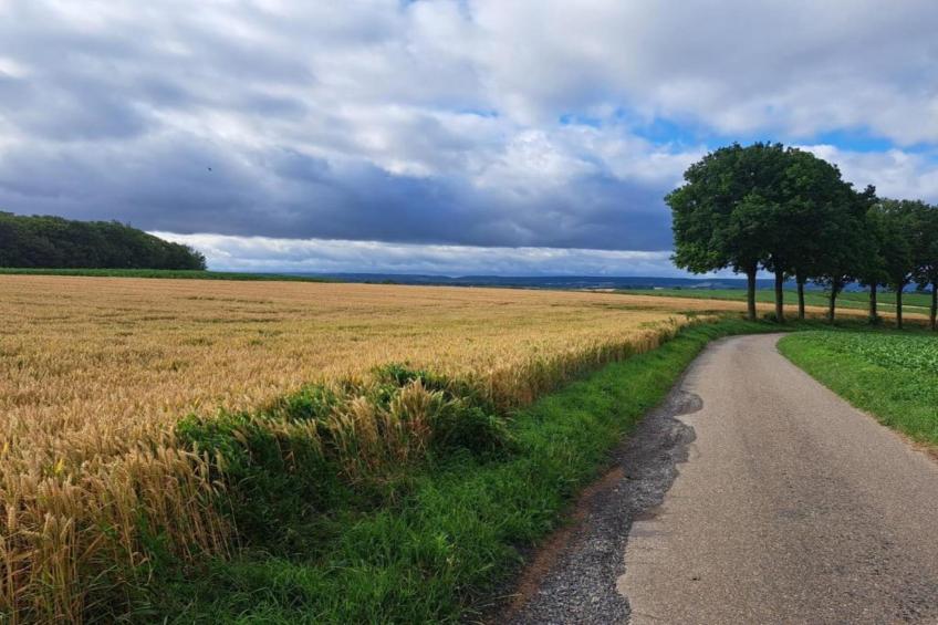 Herenhoeve de Bockhof - foto 27