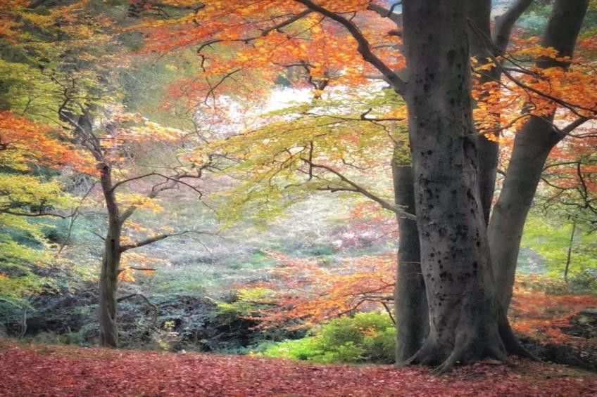 The Old Post Office Apartment 2 - foto 23