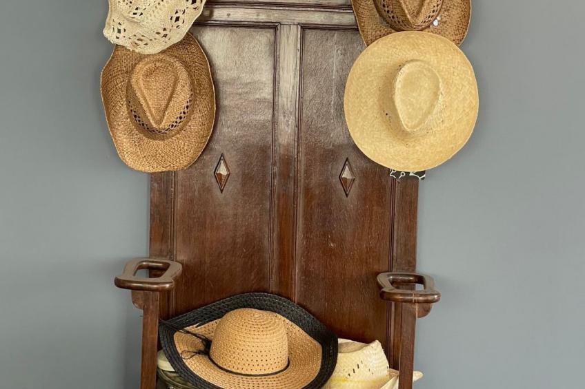 Finca mit Garten, Grill und Terrasse - foto 40