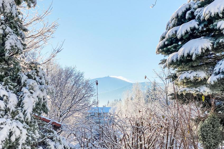 Holiday home in the Giant Mountains - foto 15