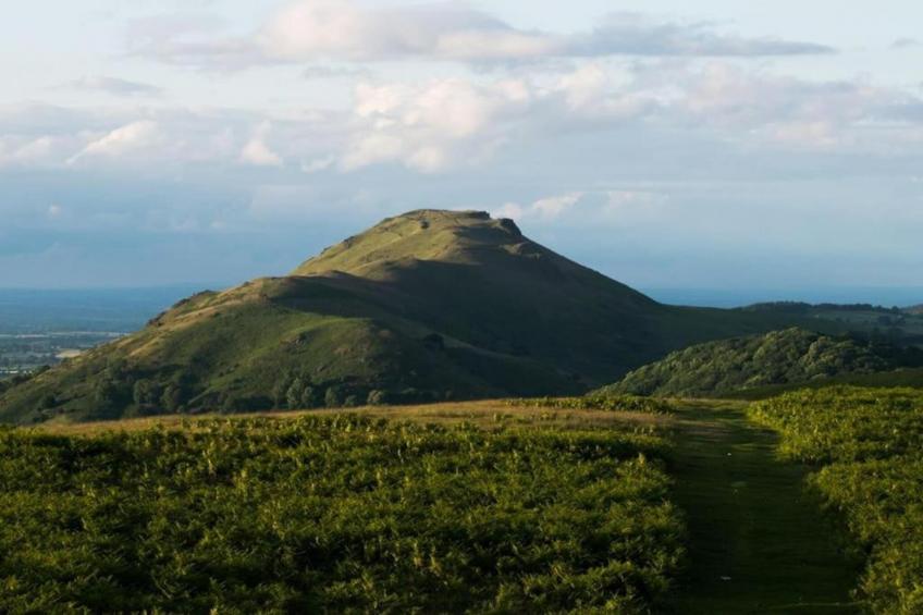 Netley Hall - Thyme - foto 24