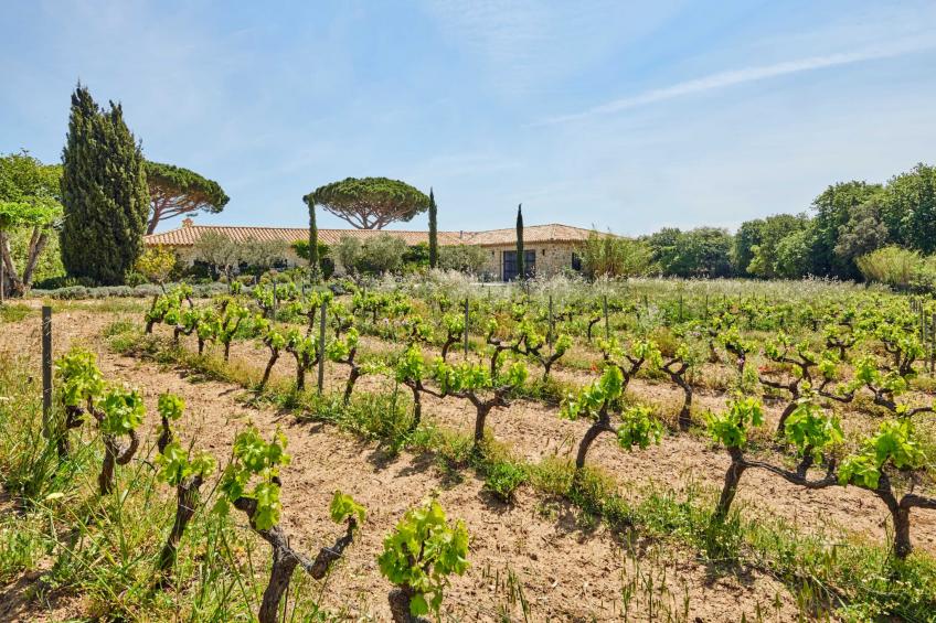 MC-785-COLLEBASSE - foto 35