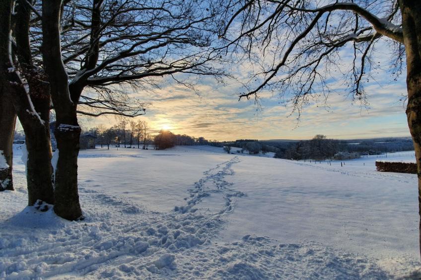 Eifel Oase - foto 29