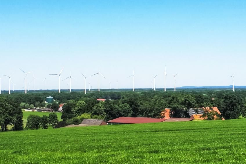 Im Grünen - foto 19
