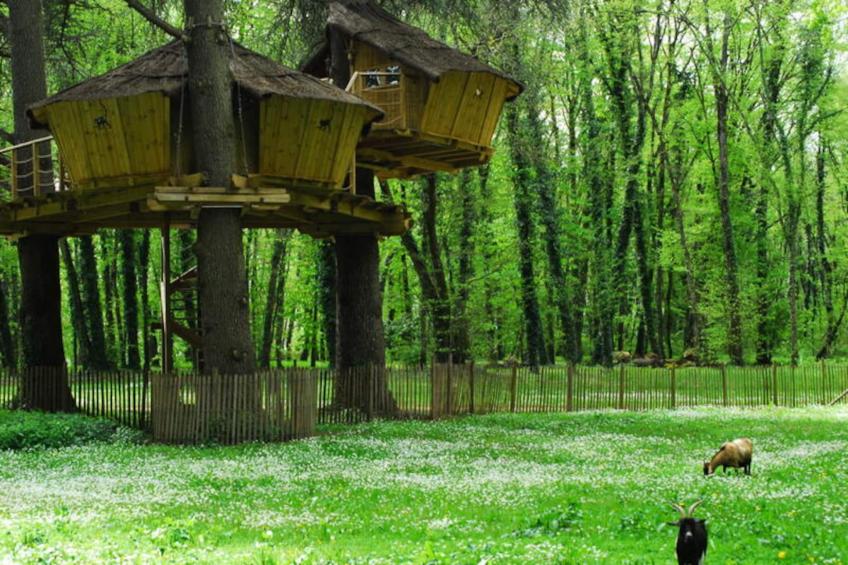 Parc de la Belle - foto 19