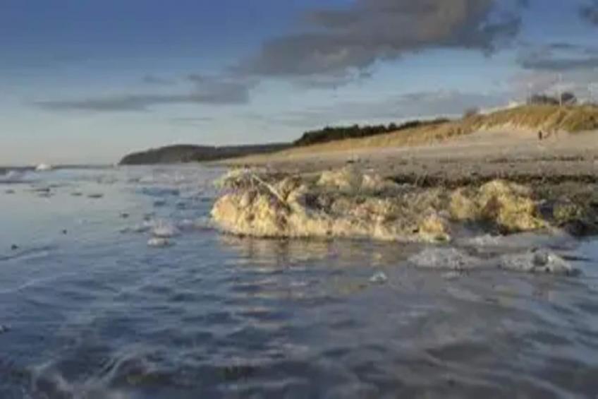 Appartementen Post Hiddensee, Vitte - Type A - foto 19