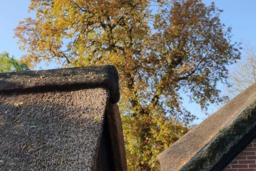 Reethaus Jadebusen - foto 31