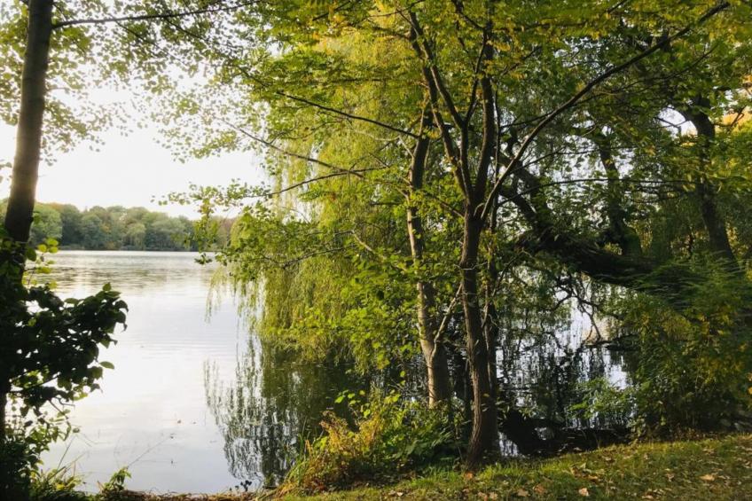 Little Hanoi - foto 29