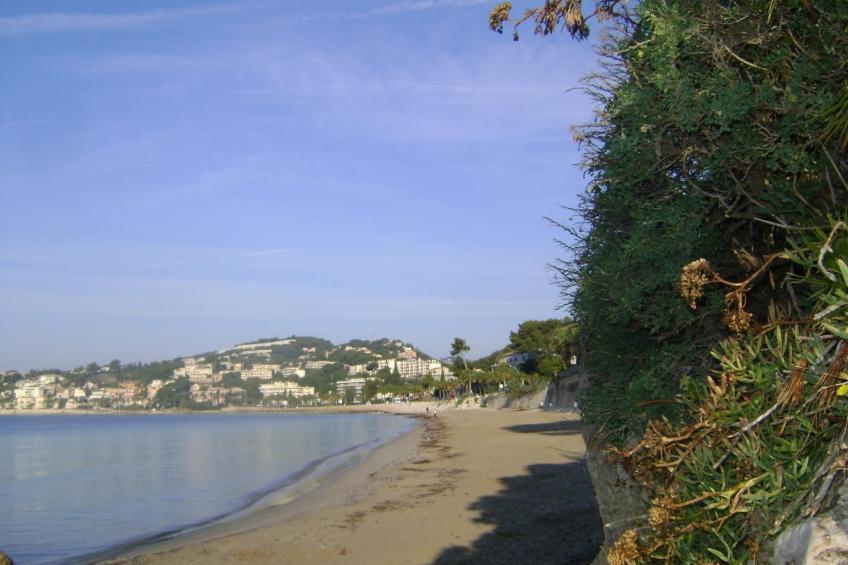 mit Terrasse, mitten in der Natur - foto 21