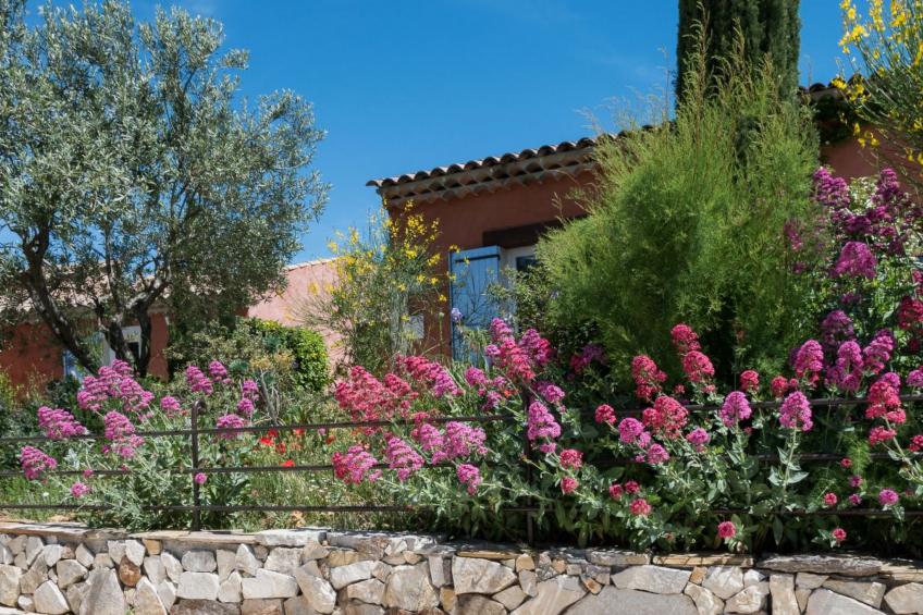 les amandiers - foto 34