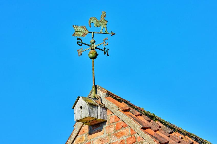 The Rookery Stables - foto 6