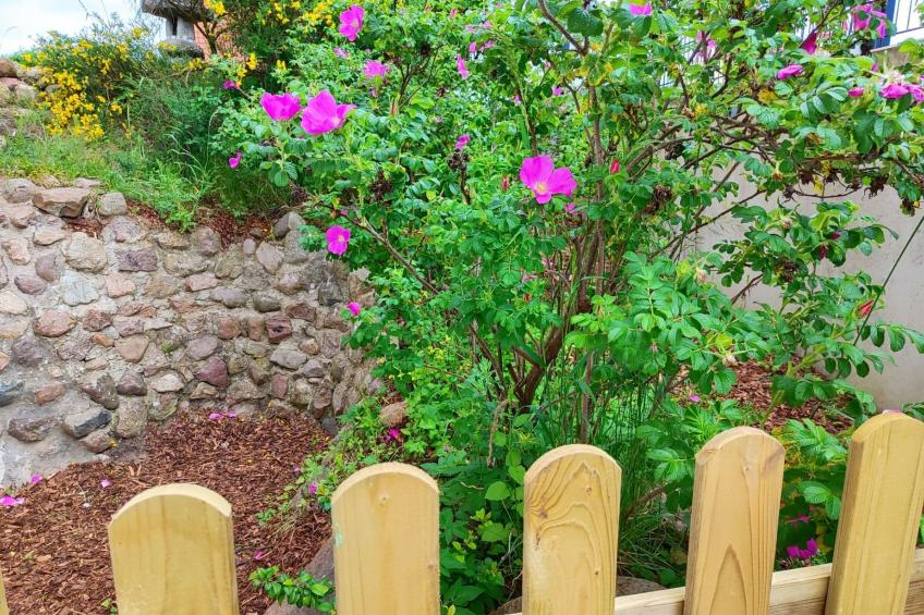 "Heide1" mit Terrasse - foto 17