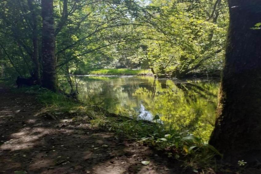 La maison d'Aléa - foto 38