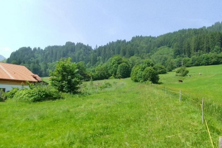 545643 - foto 18