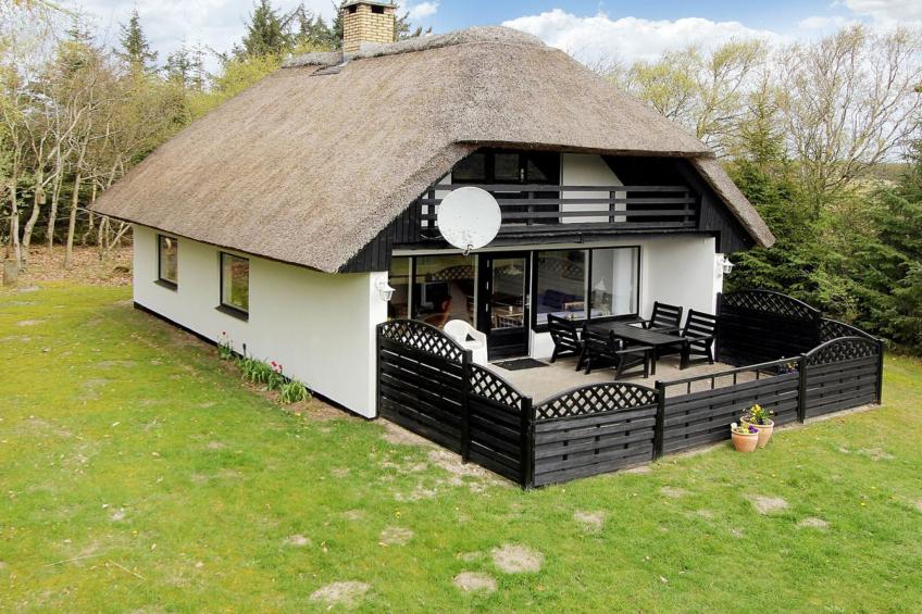"Rigitte" - 1.5km from the sea in NW Jutland - foto 21