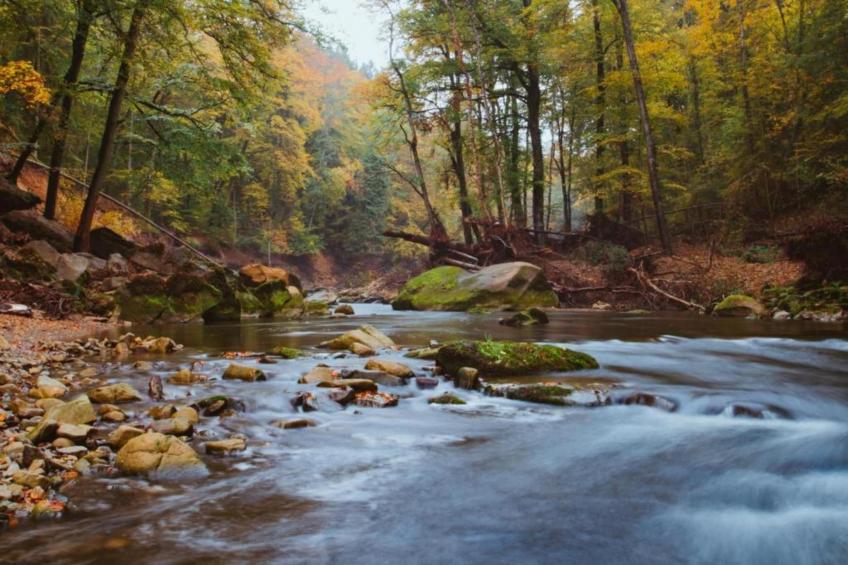Boerenhof I - foto 36