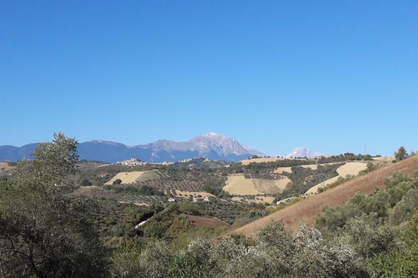 "Casa Luna" - foto 18