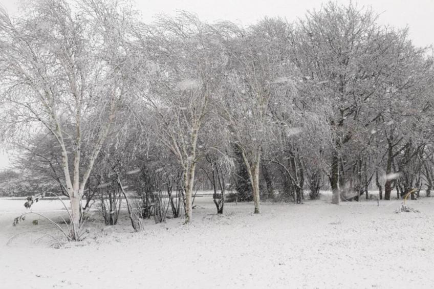 Parc de Kievit - foto 40