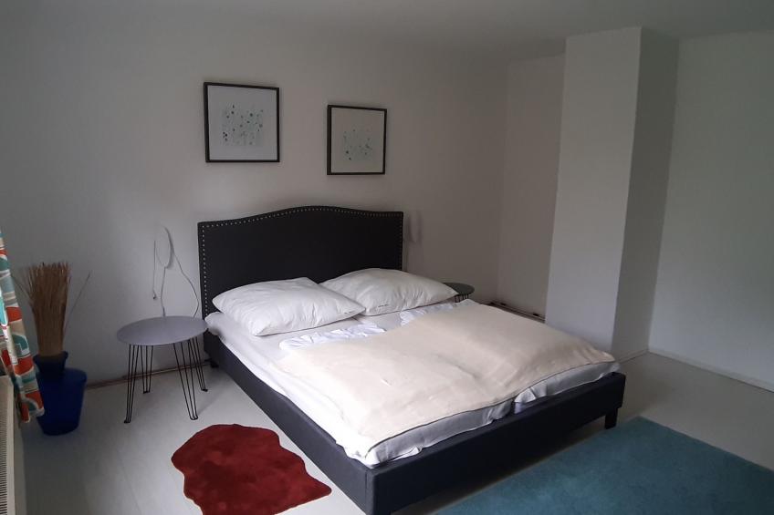 in Vorland mit Grill und Garten - foto 12