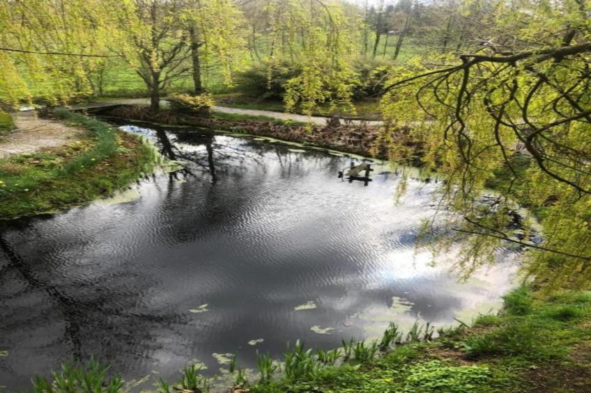 Maison de vacances - CLOHARS-CARNOET - foto 33