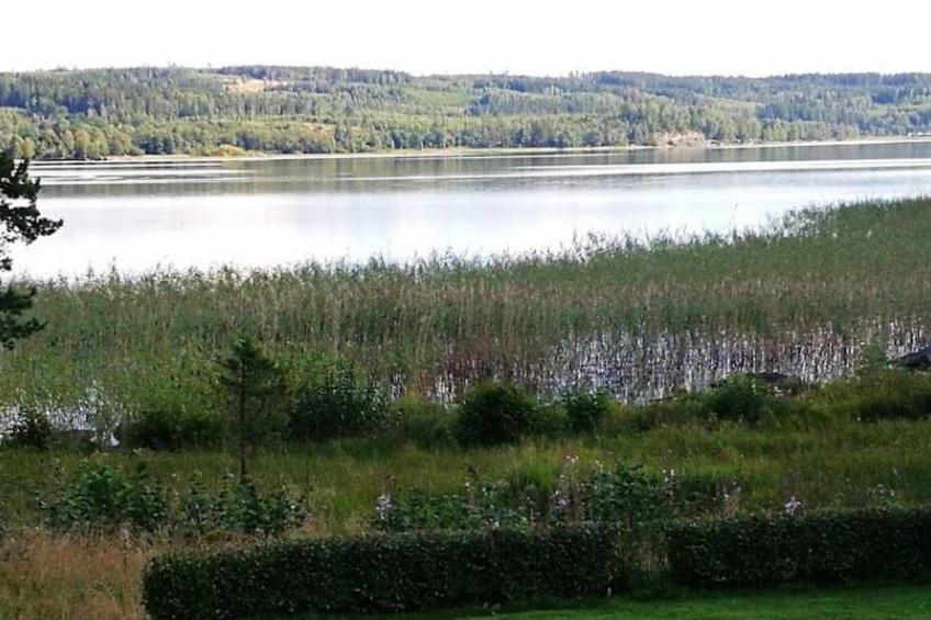 am See Åsunden mit herrlicher Aussicht - foto 44