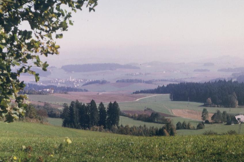 Abendsonne in Pfarrkirchen - foto 15