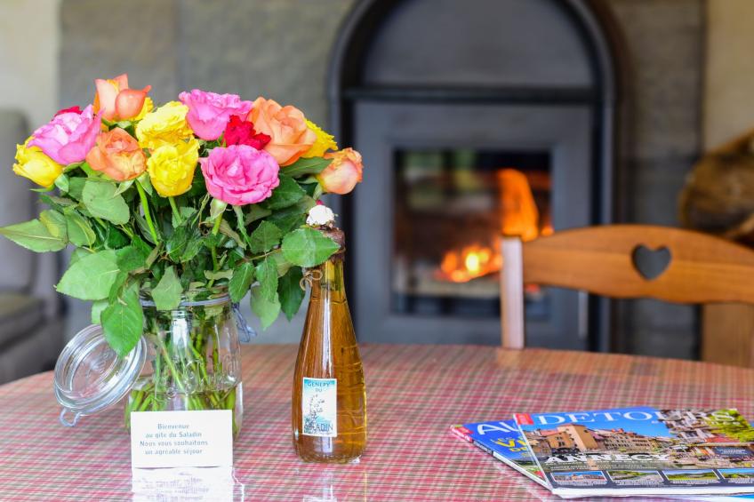 Wohnung "Gite du saladin" - foto 9