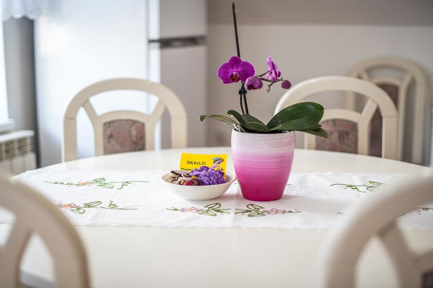 Mountain View Haven Apartments - One Bedroom Apartment  with Balcony - foto 7